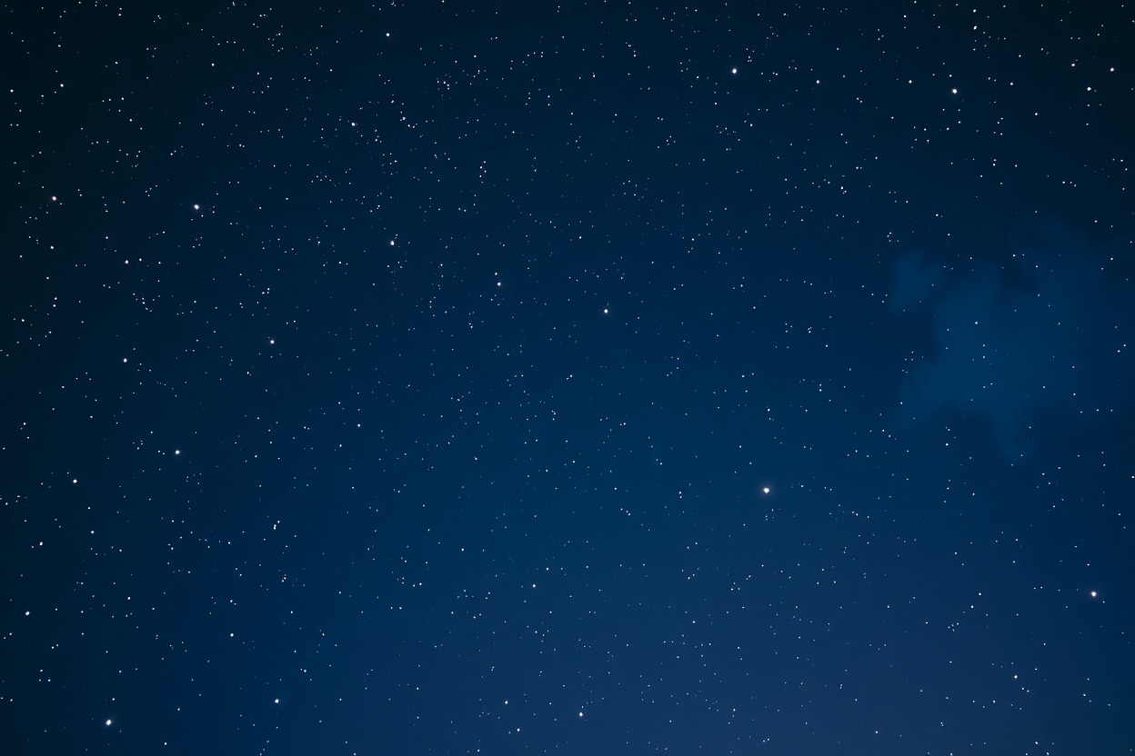 Darstellung individueller Entscheidungsfindung